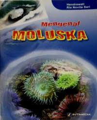 MENGENAL MOLUSKA